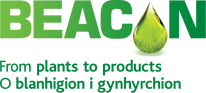 BEACON Logo